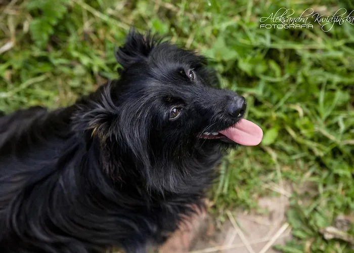 Chalupa Zagrodnika Bauernhof *